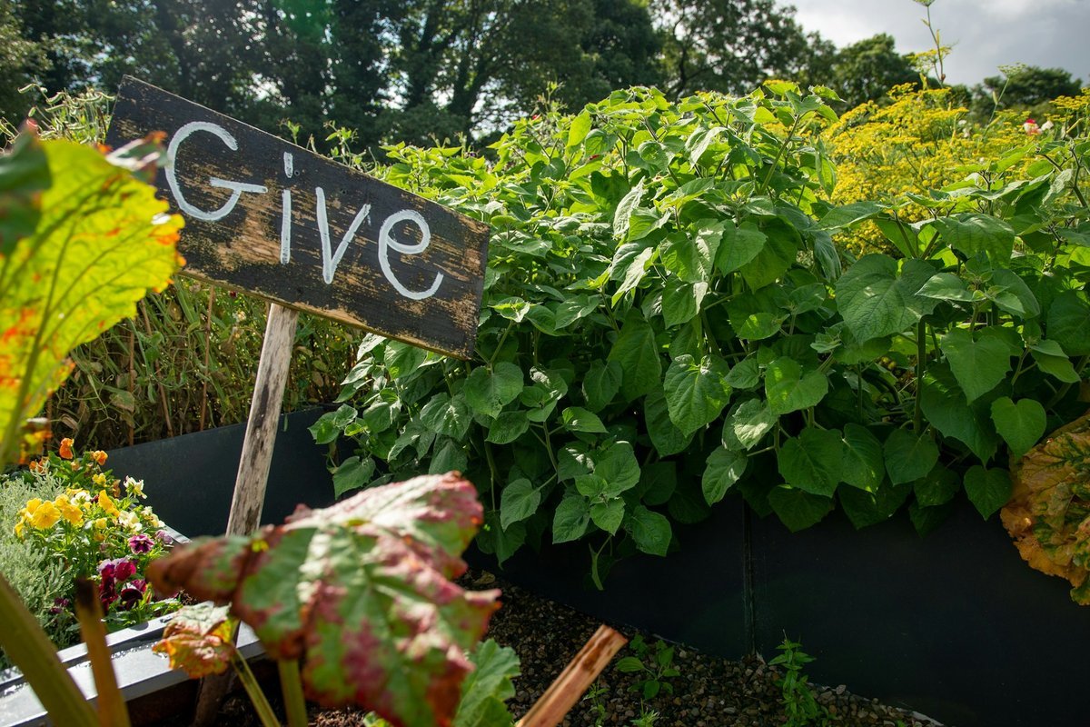 Innovate Today, Nourish Tomorrow: Reimagining Food Security Across Barrie