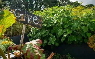 Innovate Today, Nourish Tomorrow: Reimagining Food Security Across Barrie
