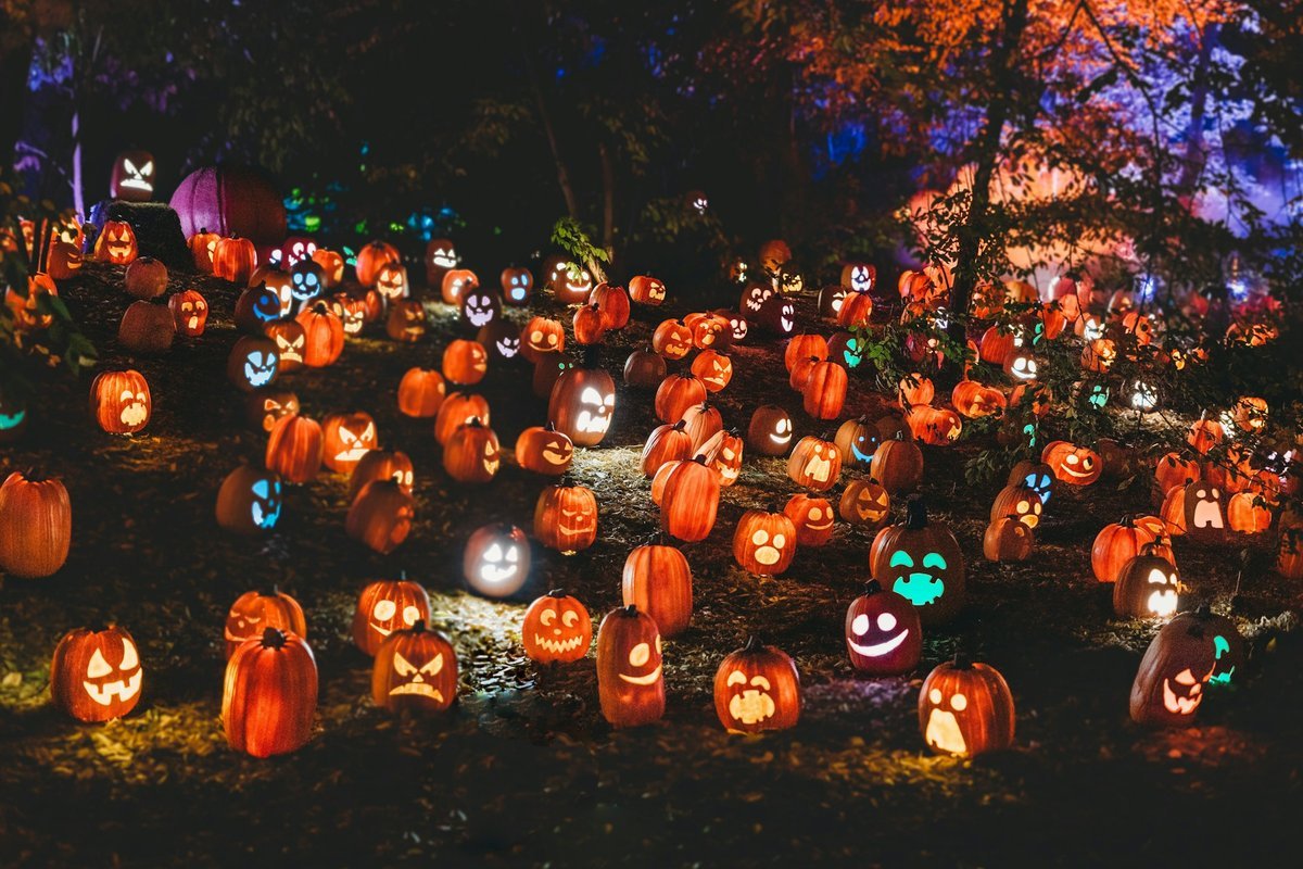 Spooktacular Ways to Give Back: Celebrating Halloween 2026 in Barrie