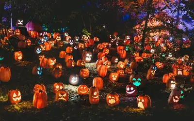 Feature image for Spooktacular Ways to Give Back: Celebrating Halloween 2026 in Barrie