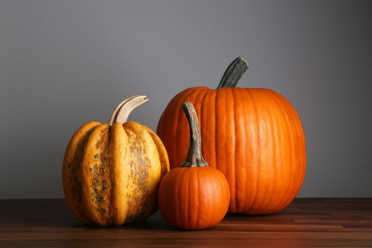 Setting a Wider Table: Meaningful Ways to Give Back This Thanksgiving Across Barrie