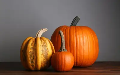 Image à la une pour Setting a Wider Table: Meaningful Ways to Give Back This Thanksgiving Across Barrie
