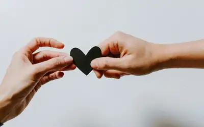 Feature image for Volunteer Opportunities in Barrie (Feb 09 - Feb 15, 2026)