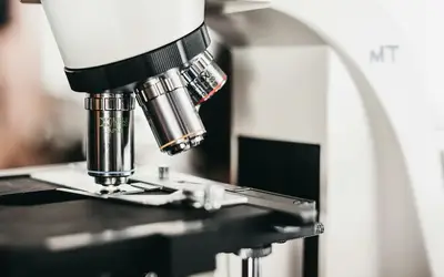 Micro-Volunteering in Barrie: How to Make a Big Difference in Just Minutes