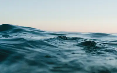 Image à la une pour Celebrate World Water Day in Barrie!