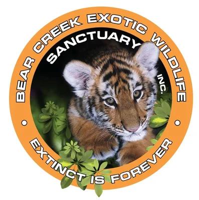 Bear Creek Exotic Wildlife Sanctuary Inc.