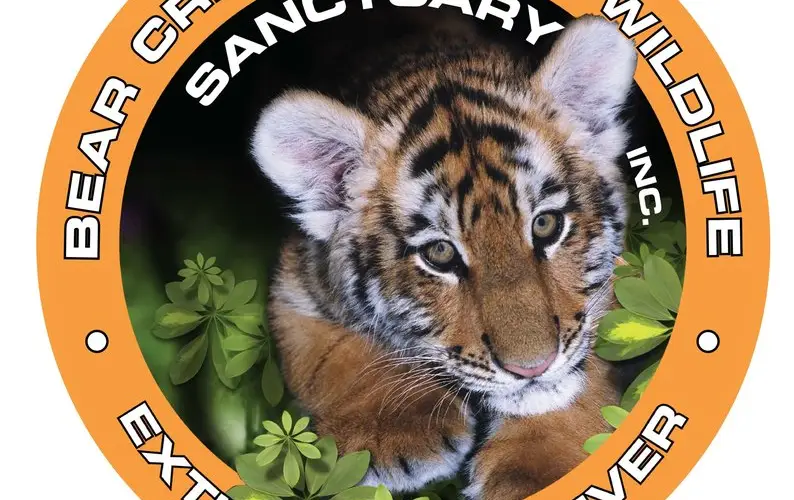 Bear Creek Exotic Wildlife Sanctuary Inc.