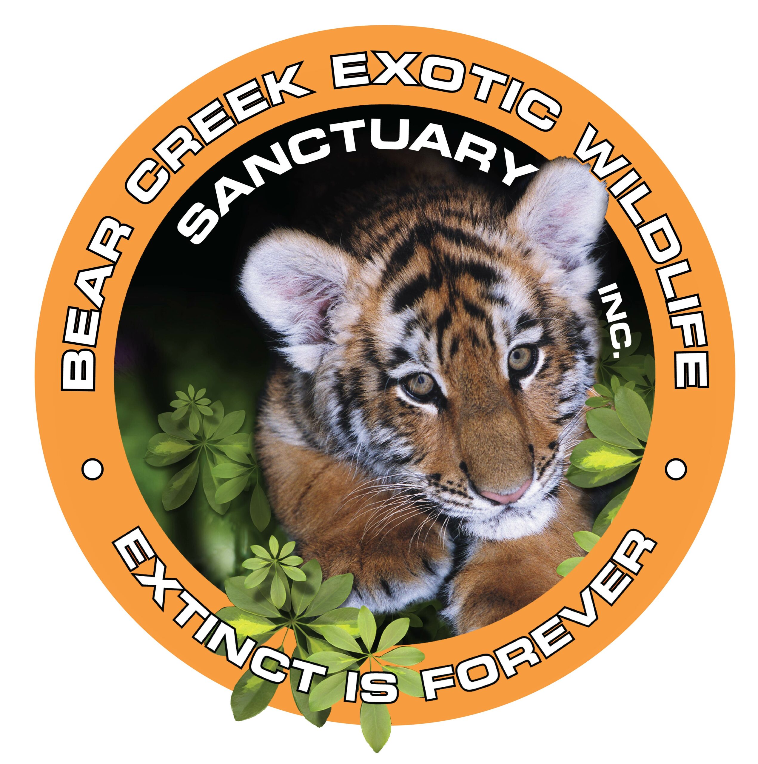 Bear Creek Exotic Wildlife Sanctuary Inc. Logo